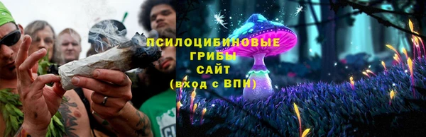 apvp Беломорск