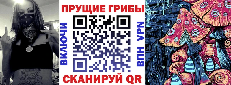 Галлюциногенные грибы прущие грибы  цены наркотик  кракен сайт  Кузнецк 
